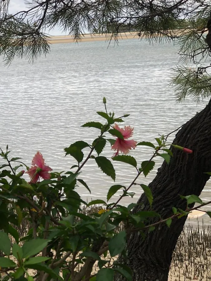 4Shore@Waterfrontplace Maroochydore
